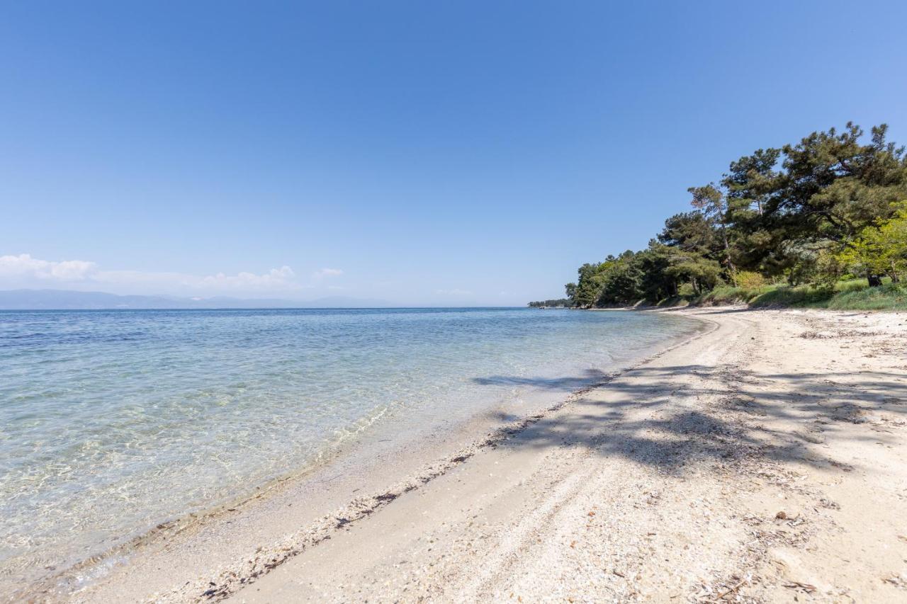 Pinereef Blue Villa Skala Rachoni  Eksteriør billede
