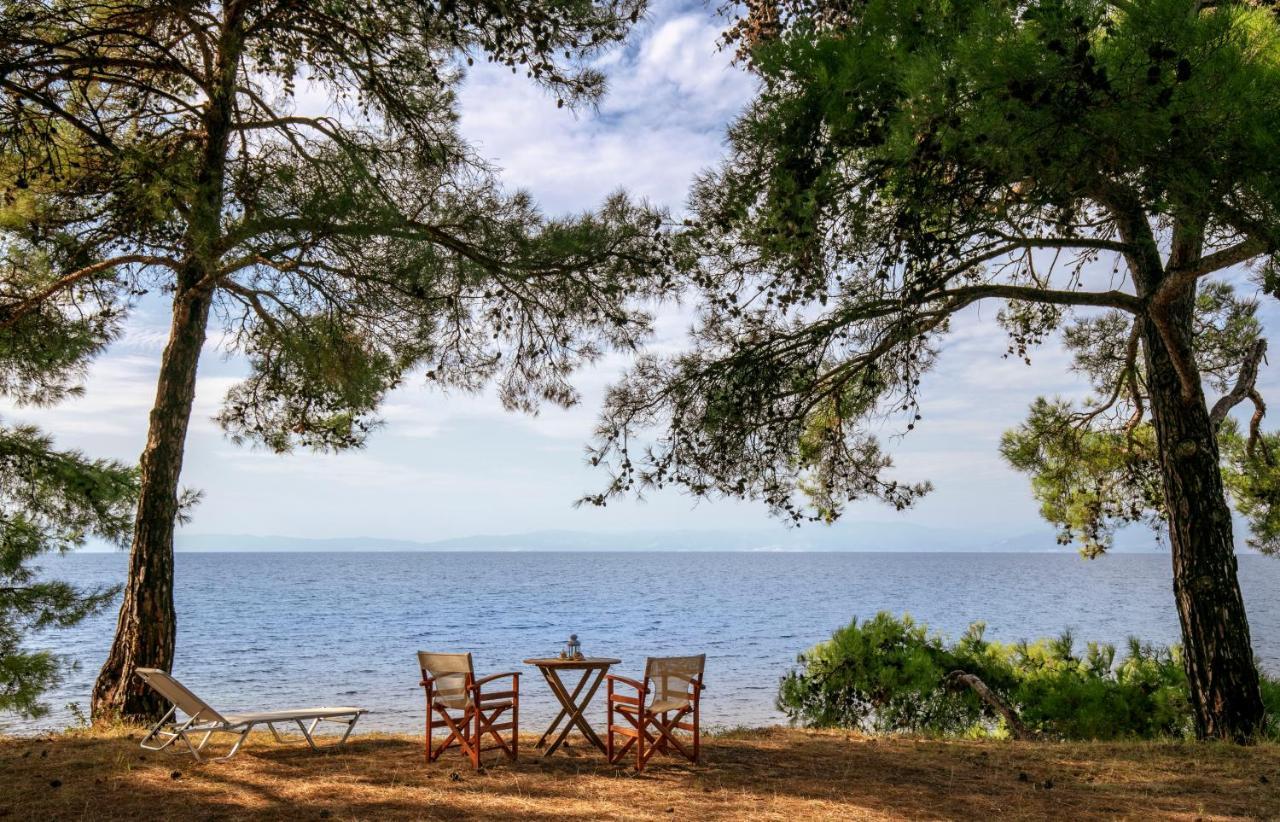 Pinereef Blue Villa Skala Rachoni  Eksteriør billede