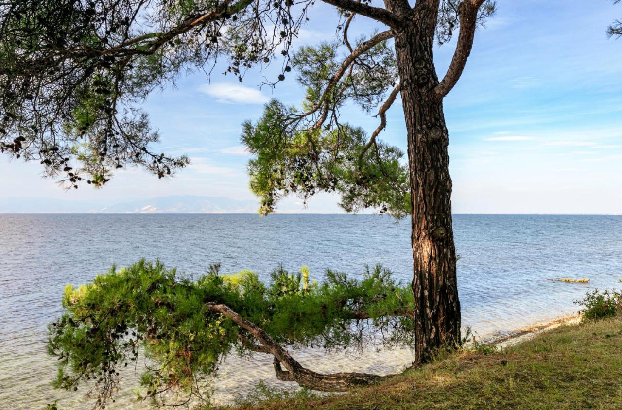 Pinereef Blue Villa Skala Rachoni  Eksteriør billede